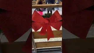 Patinoire &agrave; Saint-Cyr-sur-Mer : La magie de No&euml;l en pr&eacute;sence d&rsquo;Andr&eacute;e Samat