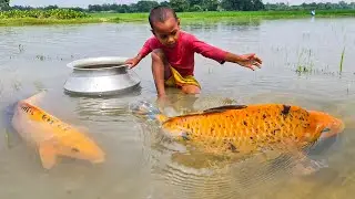 Amazing Traditional Boy Fish Catching By Hand in Water | Amazing Hand Fishing Video #Fish