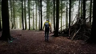 Adventures in Sulham Woods