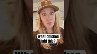 Я: Просто проверяю цыплят&hellip; И я же: Неужели динозавр пробрался в курятник?