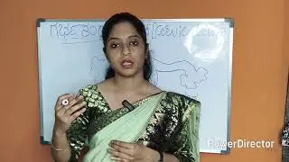 “ಈ ಲಕ್ಷಣಗಳನ್ನು ನಿರ್ಲಕ್ಷಿಸಿದರೆ ಅಪಾಯ! ಗರ್ಭಕಂಠದ ಕ್ಯಾನ್ಸರ್ ಲಕ್ಷಣಗಳು | ಮಹಿಳೆಯರು ತಪ್ಪದೇ ನೋಡಿ”