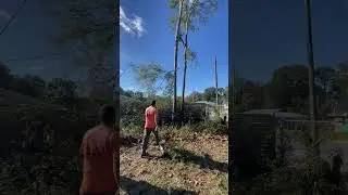 Tree work takes lots of practice💪❤️🎄