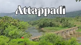 ATTAPPADI 🍃| ഞങ്ങൾ ഒന്നിച്ചൊരു അട്ടപ്പാടി യാത്ര 😍||