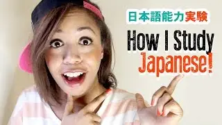 How I studied Japanese this year || 日本語能力実験