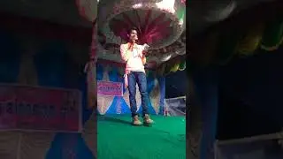 TANEIPAL (7752023471)