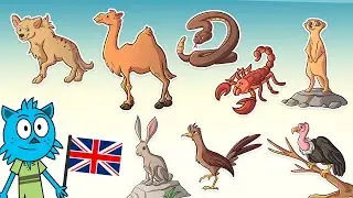 Desert Animals 🐫🌵 | Video for Kids with Real Sounds!