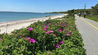 Nature for All: All-access places to get outside in Falmouth (updated)