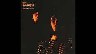 The Telescopes - Altered Perception