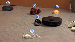 Tired of chasing pet hair around the house? 🐾