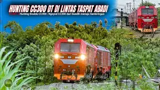 TASPAT ABADI ⁉️ Mengejar CC300 DT di jalur Sepi lintas Gundih-Gambringan | Part 2 Hunting DT CC300