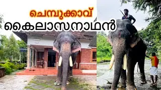 എന്നോട് പറയുന്നത് ഒക്കെ ഒരു മയത്തിൽ വേണം,ചെമ്പൂക്കാവ് കൈലാസനാഥൻ|kailasanathan|sarisway