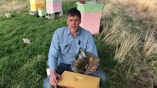 Зачем пчеловоды используют дым? Является ли использование дыма &laquo;подлым&raquo;?