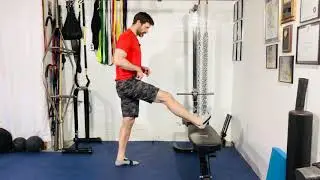 Hamstring PAILs & RAILs