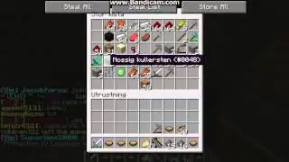 Minecraft: PvpServer med bohman