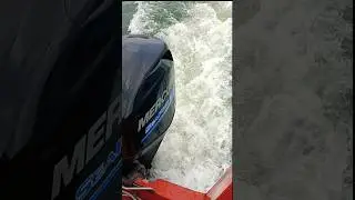 River Beast Unleashed 🚤 | Boat Engine Power | Full Speed 🔥#viralvideo #ytshorts #youtubeshorts
