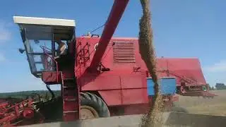 Żniwa owsa BIZON Z050