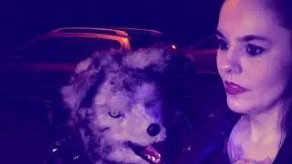 Weerwolf In De Nacht clip