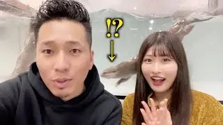後ろで泳いでる動物は一体...