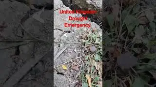 UK 2022 summer drought Emergency, water crisis - hose pipe ban!