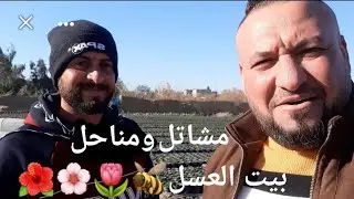 مشاتل ومناحل بيت العسل نهاية سريع محمد القاسم🐝🌷🌸🌺