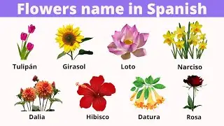 Flowers in Spanish | Learn 30 Flowers name in Spanish