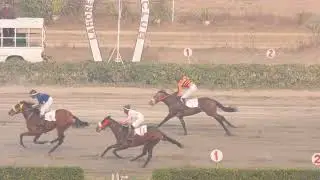 1st Race The Class-VII Distance 1,100 Meters Winner 