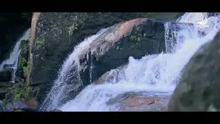 🌿 Kanneliya Rainforest Adventure 🌿