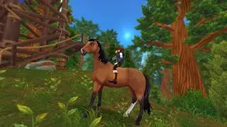 Hakamada i Wewi - Mustang z Dzikiej Doliny | Star Stable