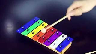 Musical Instruments for Kids WONYERED