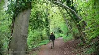 West Marden to Bevis Thumb