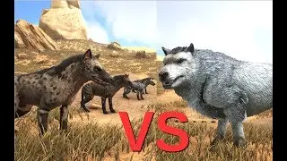 Hyaenodons vs Direwolf (and some other dinosaurs) || ARK: Survival Evolved