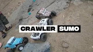 Sumo Crawler