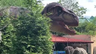 St. Louis Zoo Walk Through: including the new dinosaur experience and the stingray touch pool