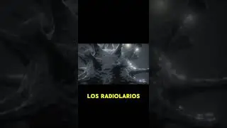 La Belleza del Mundo Microsc&oacute;pico