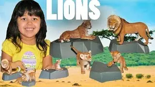 Schleich Lion Playset 4 Lions Safari Zoo Learn Animals | Toy Animals for Kids