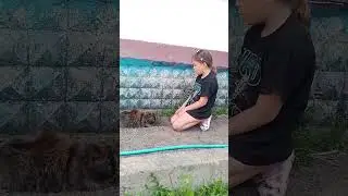 18 июня 2023 г.
