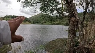 PRIVILÉGIO NOS TEMPOS DE HOJE, VIVER AQUI JUNTO A NATUREZA
