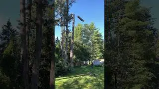 Roping down a red pine section with a friction device and tagline.