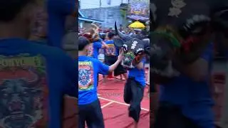 Gawat Banteng Kalap Bandilan Sereeeem #bantengan #shortvideo #shorts #short