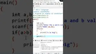 C program on Simple if statement