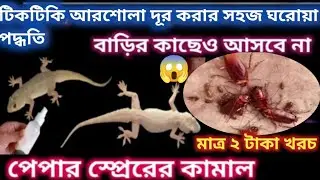৫মিনিটের মধ্যে বাড়ির সব  টিকটিকি, আরশোলা উধাও হয়ে যাবে /cockroach killer home remedy