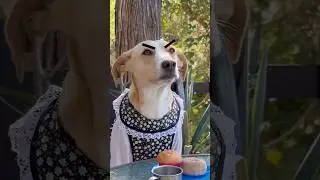Las mam&aacute;s de antes vs las mam&aacute;s de ahora
