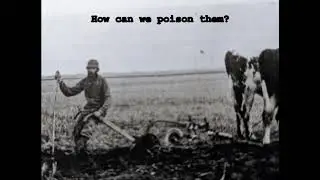 The Famous Sandhogs - The Bug Man of Ottawa