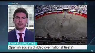 Interview with Lois Lelanchon from Humane Society International on Spain bullfighting