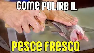 Come pulire e sfilettare il pesce fresco