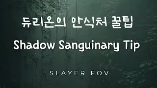 [테라] 듀리온의 안식처 꿀팁 / [TERA] Shadow Sanguinary tip