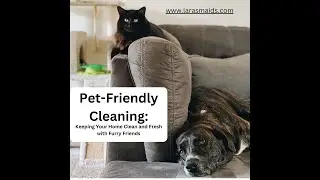 Pet-Friendly Cleaning: Keeping Your Home Clean and Fresh with Furry Friends