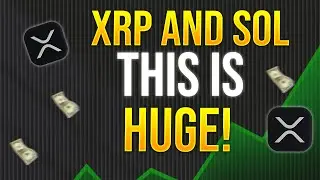 XRP SOLANA ‼️ ВАЖНОЕ ОБЪЯВЛЕНИЕ ДЛЯ УЧАСТНИКОВ DISCORD MOE