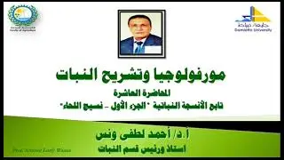 مورفولوجيا وتشريح نبات (م10) تابع الأنسجة النباتية 