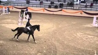 Burucs Barna & Ivresse Du Ri d'Asse